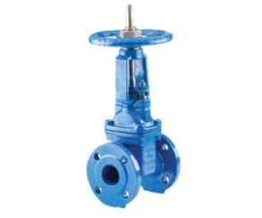 Gate Valves Rising Spindle IS