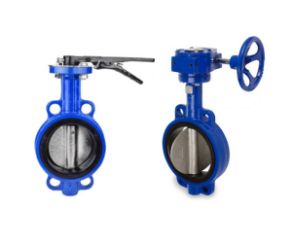 Butterfly Valves IS