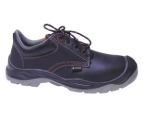 Electric Shock Proof Safety Shoe